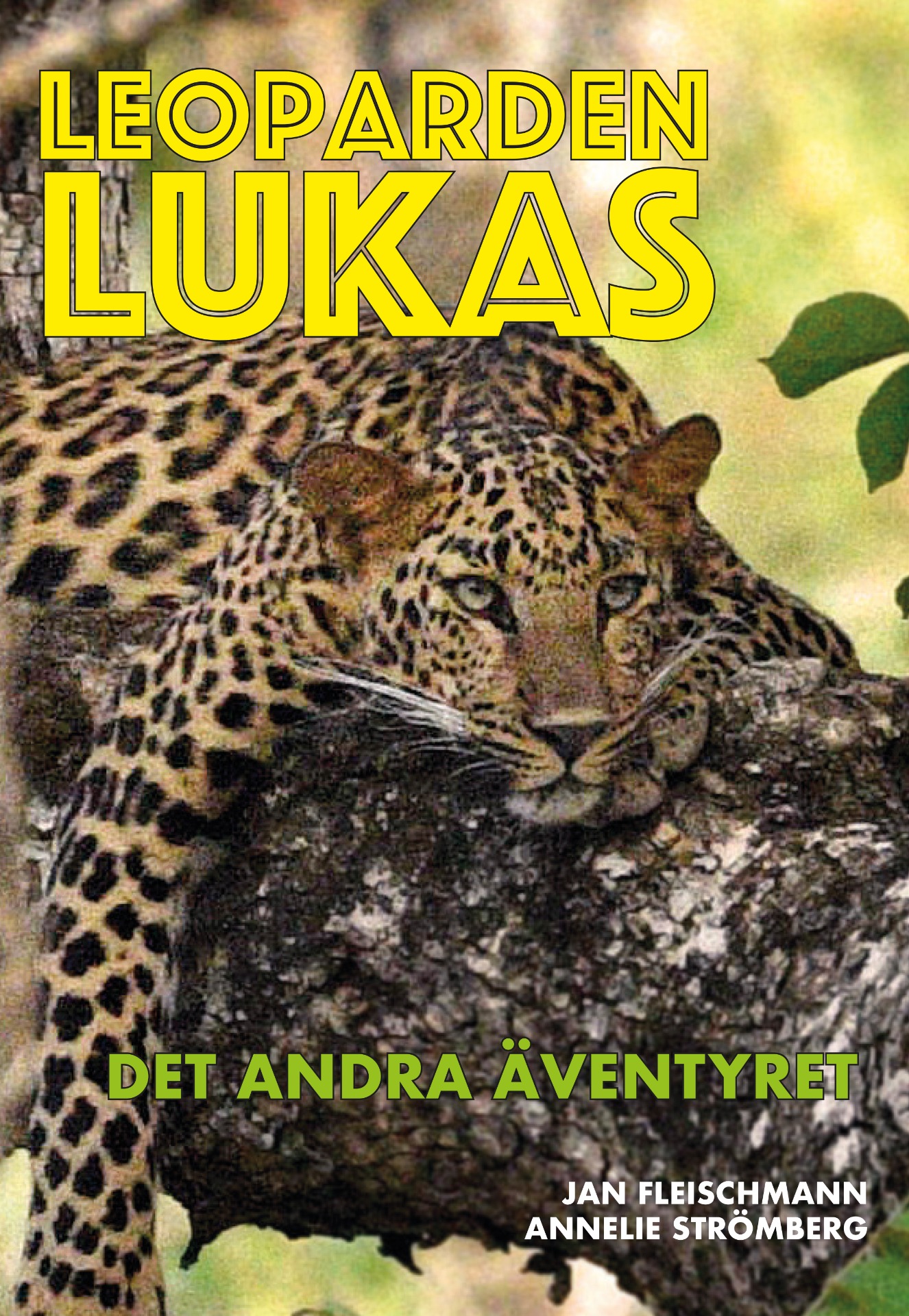 Det andra äventyret